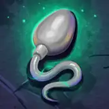 magicnuts from patreon
