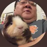 capybara_land from patreon
