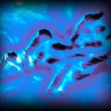TougeAttackVideoGame from patreon