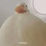 DuckDev Games from patreon