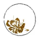 imagomeri from patreon