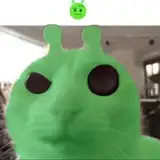 boo from patreon