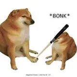 BonkDoge_3D from patreon