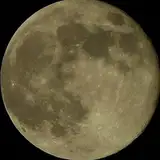 moonlive2d from patreon