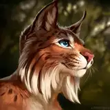 caraid from patreon