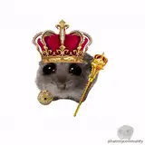HamsterX42 from patreon