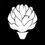 Artichoke from gumroad