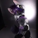 Beetlecat from patreon