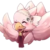 Chocori from patreon