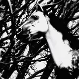 ATE music from patreon