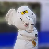 Elefante Blanco from patreon