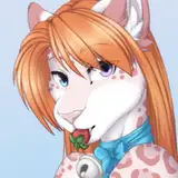 Accelo from patreon