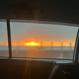 lichen from patreon