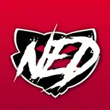 NED from boosty