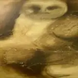 HorrorStories from patreon