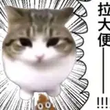 ShangDong from fanbox