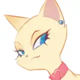 Chikki from gumroad