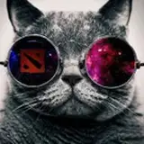 Anonymeow  from patreon