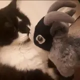 Jayandnightasmr from patreon
