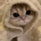 OnAHiatus from patreon