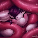 smallhorses from patreon
