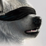 latex from patreon
