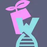 funwallandmythco from patreon