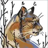 alsares from patreon
