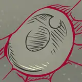 onerglossi from patreon